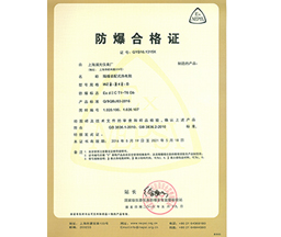 Explosion proof assembly type thermal resistance explosion-proof certificate