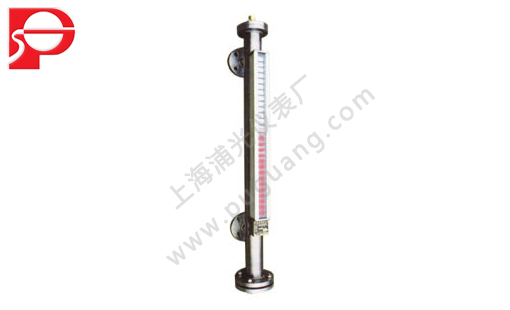 Magnetic level gauge