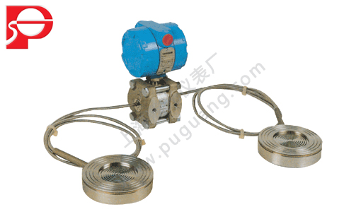 Type 1151 dp/GP differential pressure transmitter with remote transmission device
