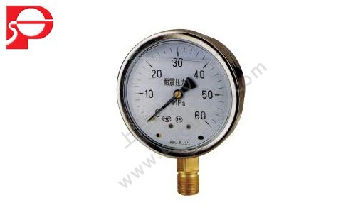 YN shock resistant pressure gauge