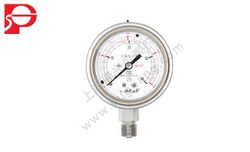 Seismic pressure gauge