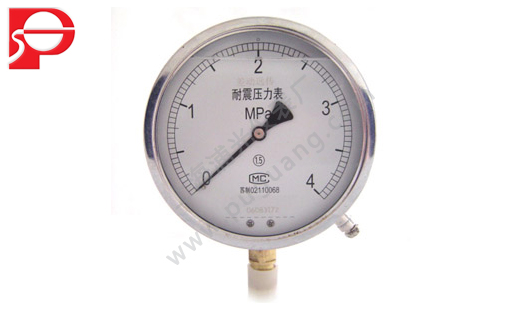 Seismic far eastone pressure gauge