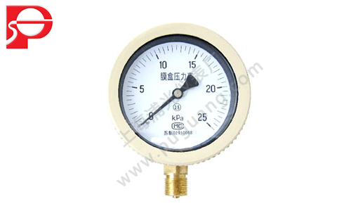 Bellows pressure gauge