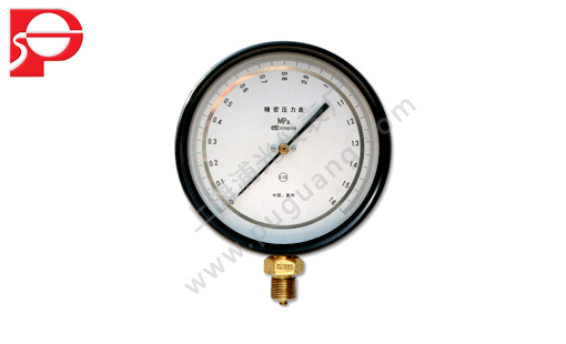 Precision pressure gauge