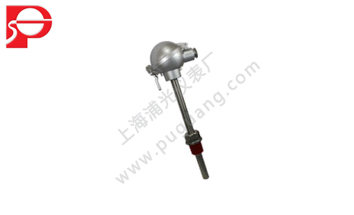 W100 temperature sensor