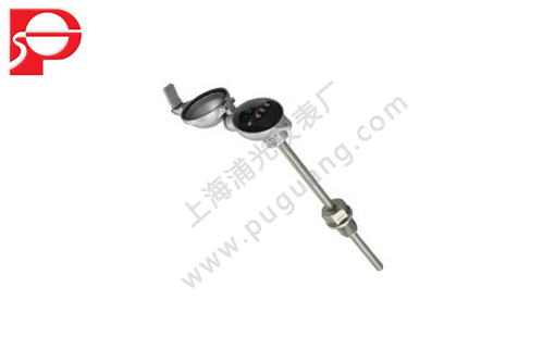 W102 integrated temperature transmitter