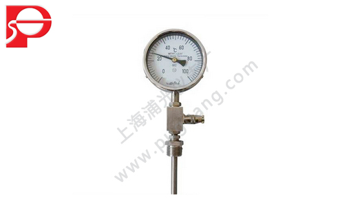 Bimetallic thermometer WTYY - 1021